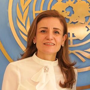 OHCHR new rep